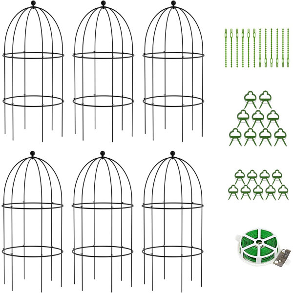 Red Barrel Studio® Mieke Bird Cage Plant Support, Large Sturdy Grow